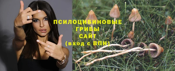 первитин Нея