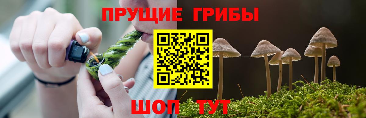Псилоцибиновые грибы Cubensis Полысаево